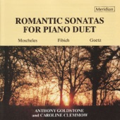 Sonata for Piano 4-Hands in B-Flat Major, Op. 28: II. Andante con variazioni artwork