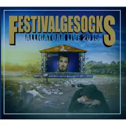 Festivalgesocks (Live 2015) - Alligatoah