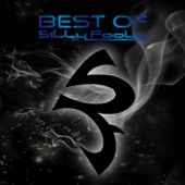 Best of Silly Fools artwork