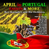 April in Portugal ;Fados and More artwork