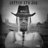 Cotton Eye Joe (Metal Cover) - Single, 2016