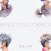 Why Do You Look Back artwork