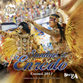 Sambas de Enredo Carnaval 2017 - Série A - ヴァリアス・アーティスト