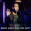 What Does the Fox Say? - Single