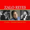 Un Ramito De Violetas by Zalo Reyes iTunes Track 23