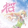 Chata - 桜ブロッサム