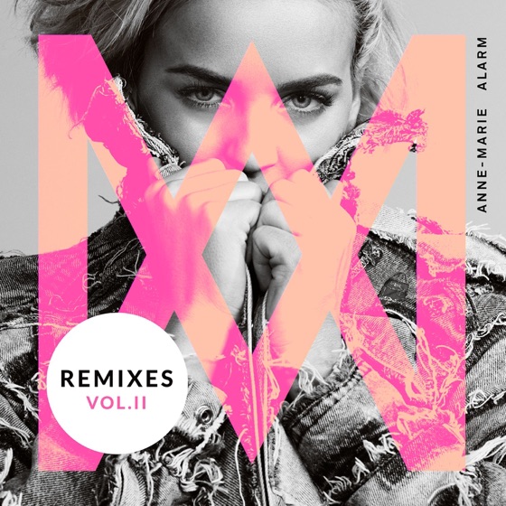 Cover artwork for Alarm (Toby Green Remix)