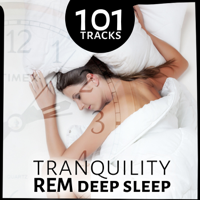 Various Artists - 111 Tracks: Tranquility REM Deep Sleep, Therapy Music with Nature Sounds for Trouble Sleeping, Relaxing Lullabies, New Age Background Music artwork