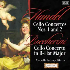 Cello Concerto in B-Flat Major, G. 482: I. Allegro moderato Song Lyrics
