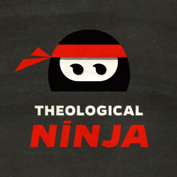 Theological Ninja : What we think about God matters cover