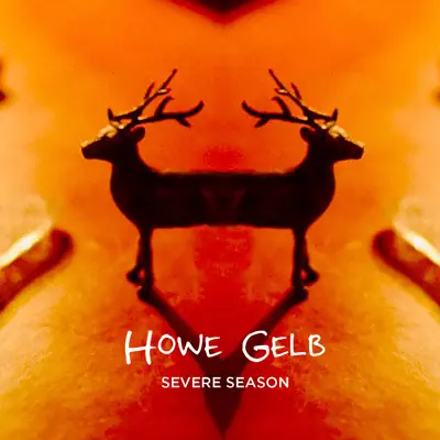 Severe Seasons - Single - Howe Gelb