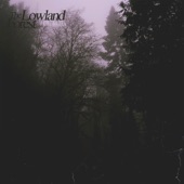 The Lowland Forest artwork