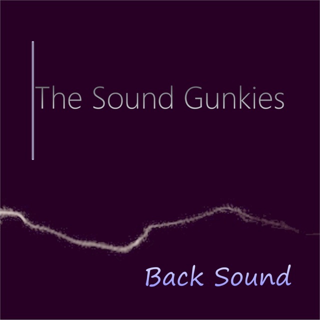 The Sound Gunkies - Warning