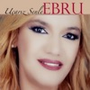 Uçarız Senle - Single