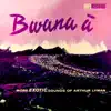 Bwana A album lyrics, reviews, download