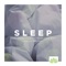 Sleepy Time - Dzen Guru lyrics