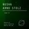 Want to Go (Lucas Ferreyra Remix) - Nusha & Arno Stolz lyrics