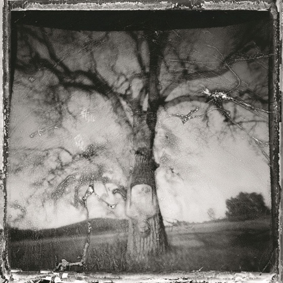 Cover artwork for Grey Notes Fall