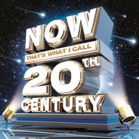 Various Artists - NOW That's What I Call 20th Century artwork