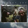 Secret Sky (feat. Brian Hughes, Caroline Lavelle & Hugh Marsh) [Deluxe Edition] album lyrics, reviews, download