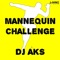 Mannequin Challenge - Dj Aks lyrics
