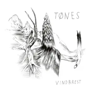 descargar álbum Tønes - Vindbrest