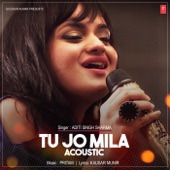 Tu Jo Mila Acoustic artwork
