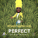 When We Smoke (feat. Lutan Fyah) - Perfect Giddimani