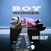 Boy Wonder - EP album lyrics, reviews, download