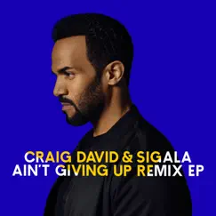Ain't Giving Up (Freejak Remix) Song Lyrics