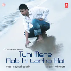 Tu Hi Mere Rab Ki Tarah Hai by Mithoon, Kshitij Tarey & Megha album reviews, ratings, credits