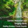 A Whisper in the Rain - Music to Relax in Free Time