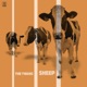 SHEEP cover art