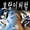 호랑이처럼 (Remix) - Single