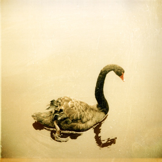 Cover artwork for Broken Man