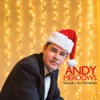 Andy Meadows - When You're in Love on Christmas
