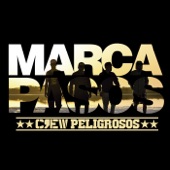 Marca Pasos artwork