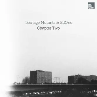 Alive by Teenage Mutants & Edone song reviws