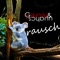 Rausch - Gerner & Tschann lyrics