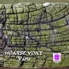 Sound of Kyoto -Sukima- / Hoarse Voice