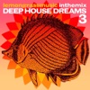 Lemongrassmusic in the Mix: Deep House Dreams, Vol. 3