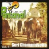 Guri Chamamezeiro, Vol. 5