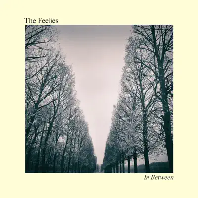 In Between - The Feelies