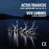 Lionel Meunier & Vox Luminis - Gottes Zeit ist die allerbeste Zeit, BWV 106 "Actus Tragicus": I. Sonatina