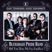 East Tennessee State University Bluegrass Pride Band - Did You Hear Me Say Goodbye