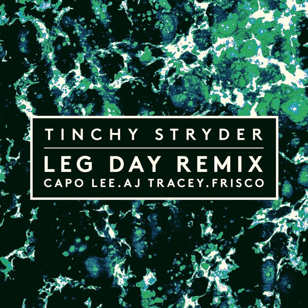 Single day remix