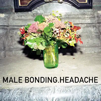 Headache - Male Bonding