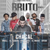 Bruto (DJ Conds Remix) [feat. El Micha, Divan & El Taiger] artwork
