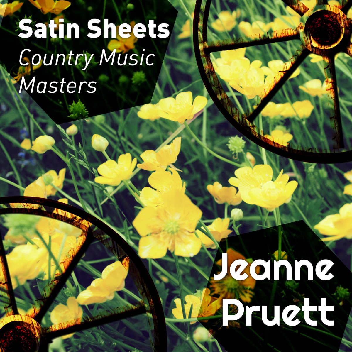 ‎Satin Sheets - Country Music Masters by Jeanne Pruett on Apple Music