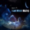 Blue Moon Rising - Stevie Fitz lyrics